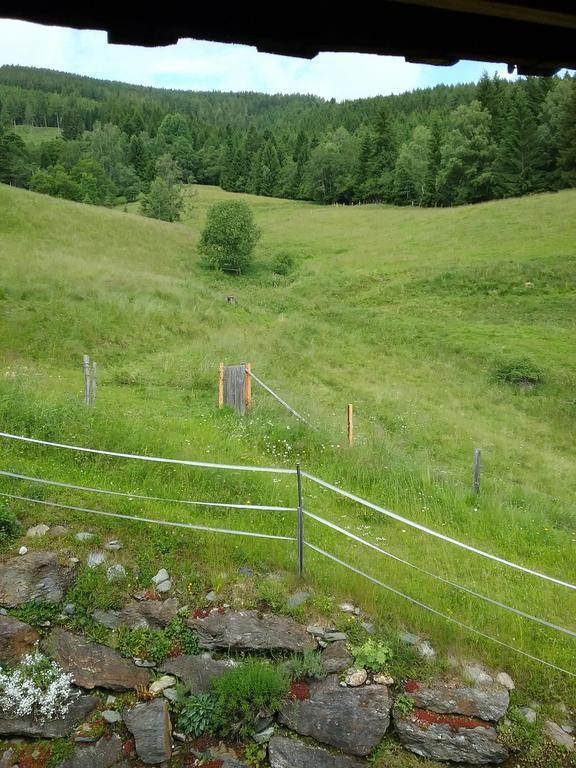 Almwiese Apartment Stadl an der Mur エクステリア 写真