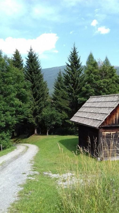 Almwiese Apartment Stadl an der Mur エクステリア 写真
