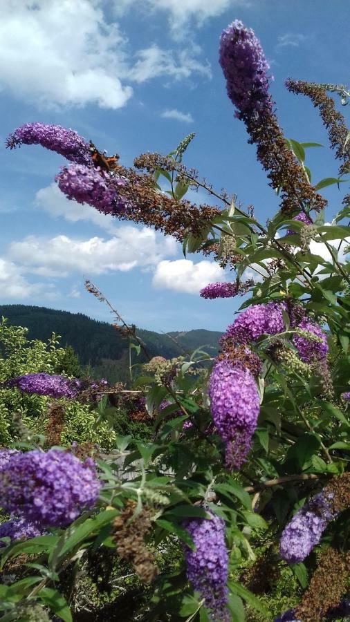 Almwiese Apartment Stadl an der Mur エクステリア 写真